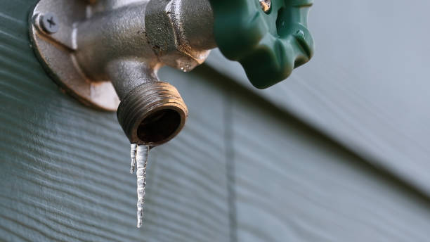 Best Septic Systems  in Nowthen, MN
